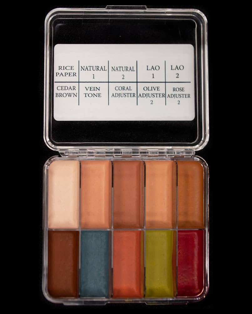 Skin Illustrator On Set Flesh Tone Palette, open, showing ten colors